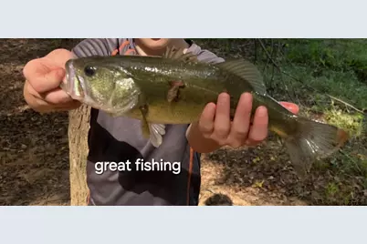 10774 County Road 494 (Multiple Addresses), Tyler, TX 75706 - Photo 23