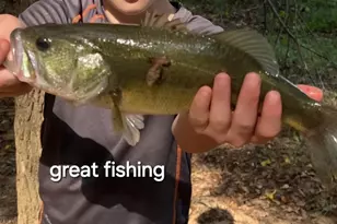 10774 County Road 494 (Multiple Addresses), Tyler, TX 75706 - Photo 23