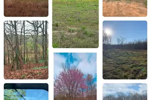 10774 County Road 494 (Multiple Addresses), Tyler, TX 75706 - Photo 43