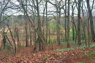 10774 Cr 494 (Multiple Addresses), Tyler, TX 75706 - Photo 1