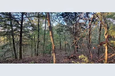 10774 Cr 494 (Multiple Addresses), Tyler, TX 75706 - Photo 9