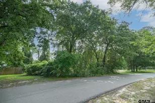 15714 Meadow Cir, Bullard, TX 75757 - Photo 17