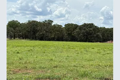 Lot 19 Private Road 5948, Yantis, TX 75497 - Photo 5