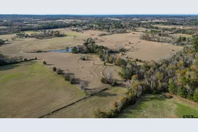 3250 Fm 22 - 82.91 Acres, Jacksonville, TX 75766 - Photo 5