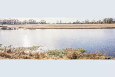 3250 Fm 22 - 82.91 Acres, Jacksonville, TX 75766 - Photo 15