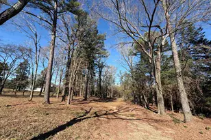 11266 Fm 344 W, Bullard, TX 75757 - Photo 3