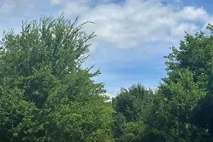 000 Sh 64, Ben Wheeler, TX 75754 - Photo 1