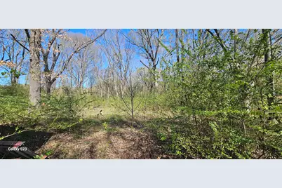 2415 Fm 17, Alba, TX 75410 - Photo 1