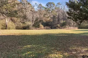 10715 S Cr 461, Laneville, TX 75667 - Photo 35