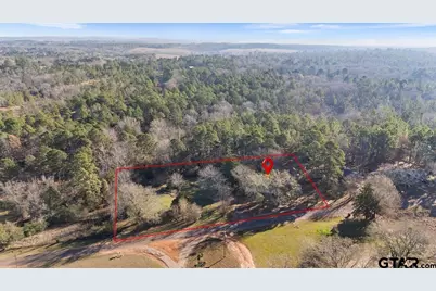 10715 S Cr 461, Laneville, TX 75667 - Photo 29