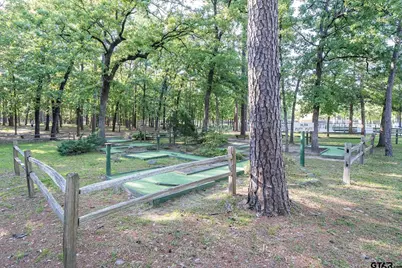 201 Elmwood Lane, Holly Lake Ranch, TX 75765 - Photo 31