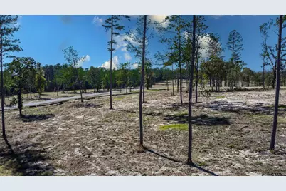 15483 Aniston Ln - (Lot 1), Flint, TX 75762 - Photo 33