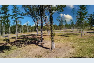 15483 Aniston Ln - (Lot 1), Flint, TX 75762 - Photo 9