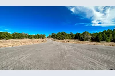 15537 Aniston Ln - (Lot 2), Flint, TX 75762 - Photo 45