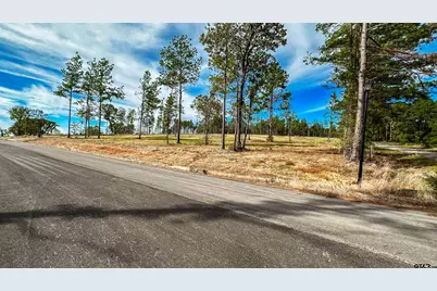 15537 Aniston Ln - (Lot 2), Flint, TX 75762 - Photo 43