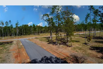 15639 Aniston Ln - (Lot 4), Flint, TX 75762 - Photo 13