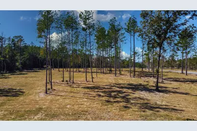 15703 Aniston Ln - (Lot 5), Flint, TX 75762 - Photo 17