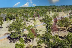 15703 Aniston Ln Lot 5, Flint, TX 75762 - Photo 1