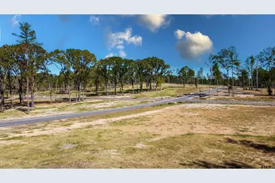 15703 Aniston Ln - (Lot 5), Flint, TX 75762 - Photo 27