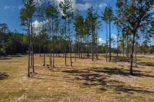 15922 Aniston Ln Lot 20, Flint, TX 75762 - Photo 1