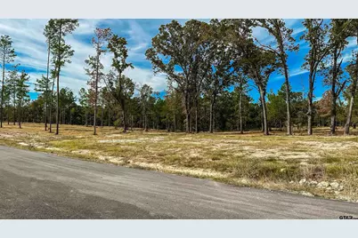 15702 Aniston Ln - (Lot 24), Flint, TX 75762 - Photo 47