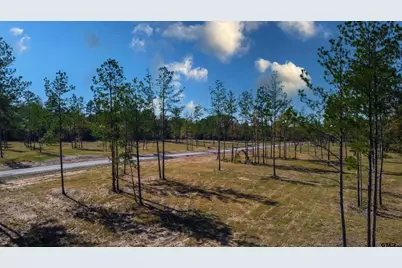 15640 Aniston Ln - (Lot 25), Flint, TX 75762 - Photo 21