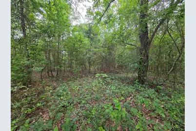 0000 Hwy 69, Alba, TX 75410 - Photo 13