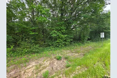 0000 Hwy 69, Alba, TX 75410 - Photo 19