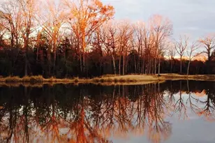 11 Lakeside Dr, Montalba, TX 75853 - Photo 7