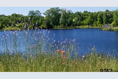 11 Lakeside Dr., Montalba, TX 75853 - Photo 5