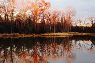 13 Lakeside Dr, Montalba, TX 75853 - Photo 5