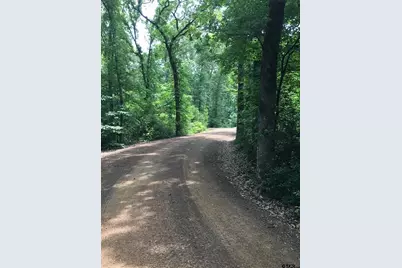 13 Lakeside Drive, Montalba, TX 75853 - Photo 3