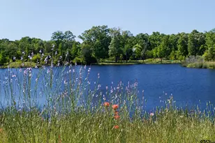 14 Lakeside Dr, Montalba, TX 75853 - Photo 5