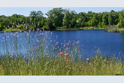 16 Lakeside Dr., Montalba, TX 75853 - Photo 5