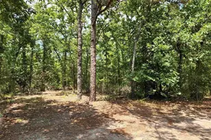 117 Little Acorn, Holly Lake Ranch, TX 75765 - Photo 13