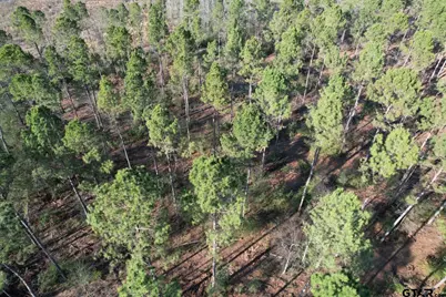 Tbd-A County Road 216, Beckville, TX 75631 - Photo 7