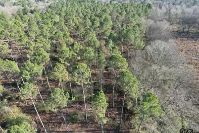 Tbd-A County Road 216, Beckville, TX 75631 - Photo 5