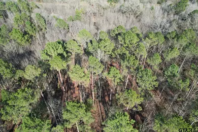 Tbd-A County Road 216, Beckville, TX 75631 - Photo 3