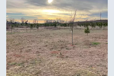 660 Cr 3807, Bullard, TX 75757 - Photo 47