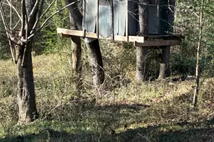 20519 Hwy 69, Alto, TX 75925 - Photo 17