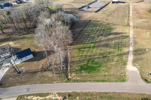 21404 Memory Ln, Bullard, TX 75757 - Photo 3