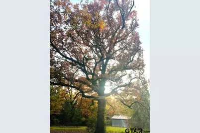 197 Cr 4130D, Overton, TX 75684 - Photo 45