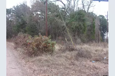 000 Briar Valley, Murchison, TX 75778 - Photo 1