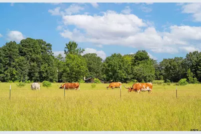 14284 Tx 322, Kilgore, TX 75662 - Photo 17