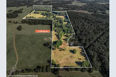 Tbd Giraffe Rd, Gilmer, TX 75644 - Photo 1