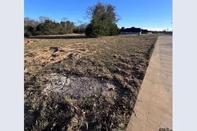 14001 Cedar Hill Lane (Lindale Isd), Tyler, TX 75704 - Photo 5