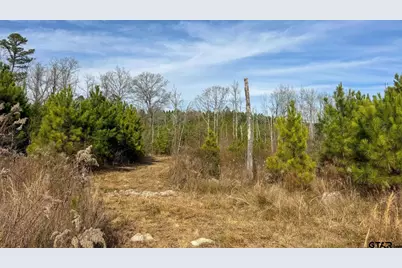 Tbd Shady Grove Road, Jefferson, TX 75657 - Photo 39