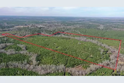 Tbd Shady Grove Road, Jefferson, TX 75657 - Photo 1