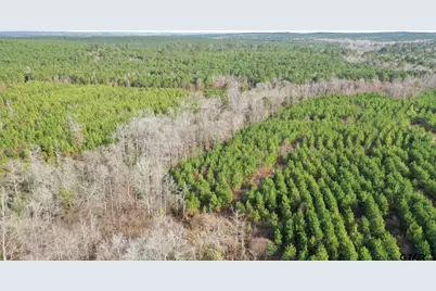 Tbd Shady Grove Road, Jefferson, TX 75657 - Photo 5