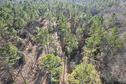 Tbd-D County Road 216, Beckville, TX 75631 - Photo 5